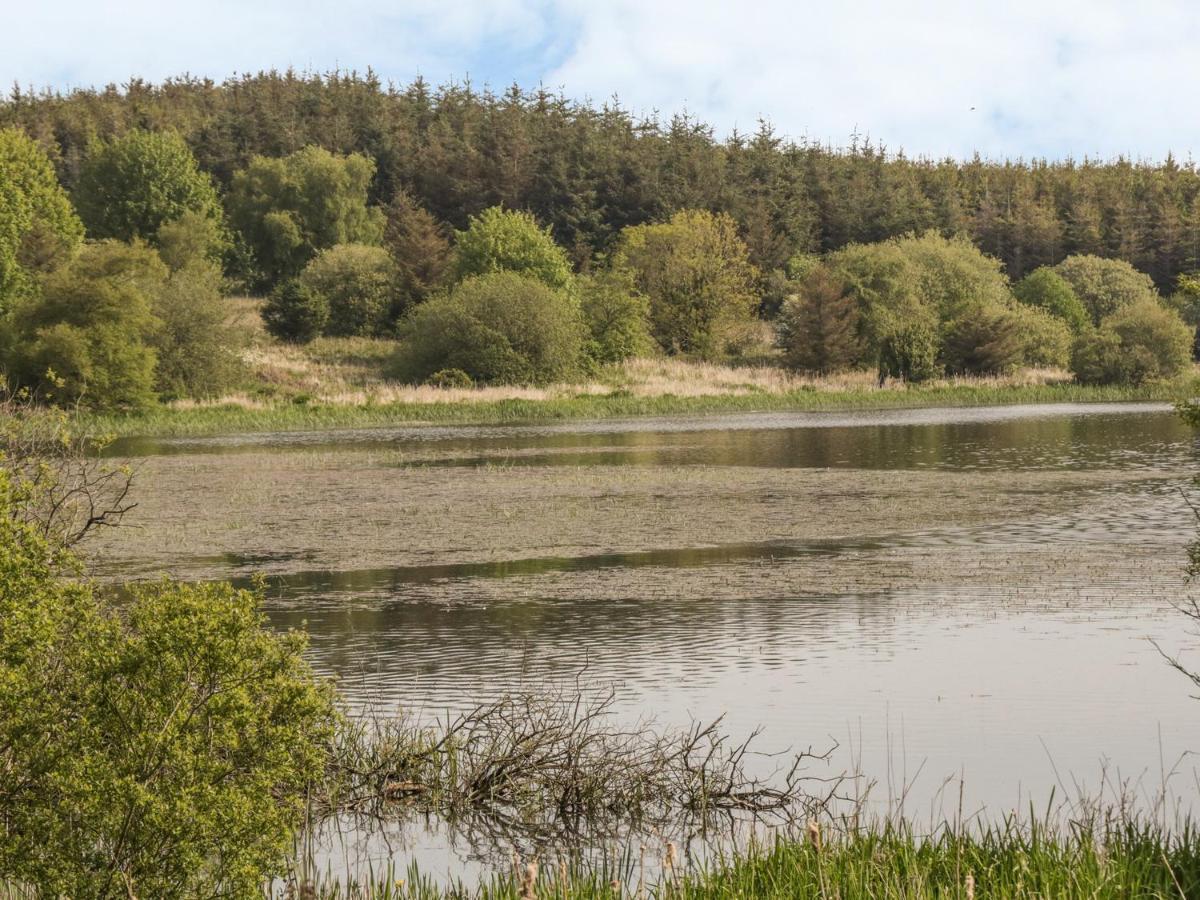 Bwlch Y Gwynt Bach Villa Llangefni Kültér fotó