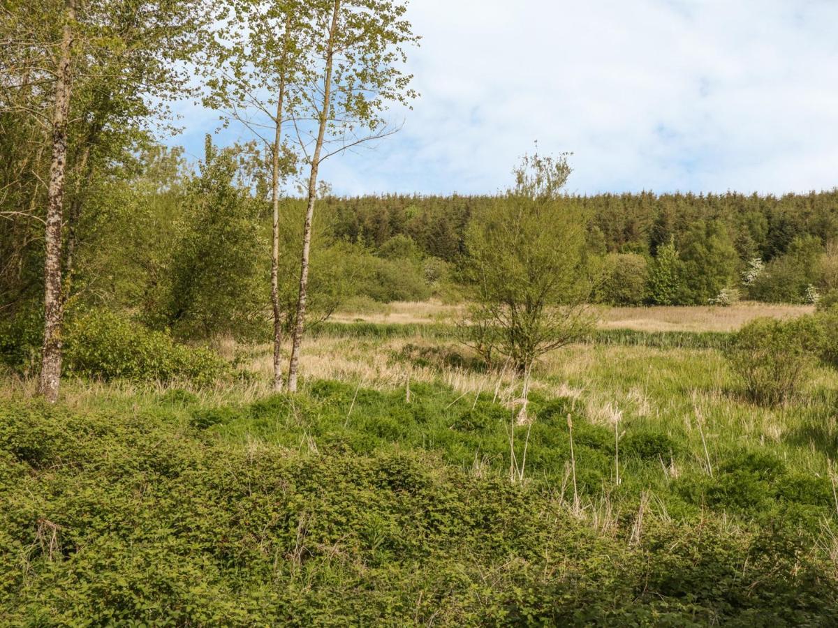 Bwlch Y Gwynt Bach Villa Llangefni Kültér fotó